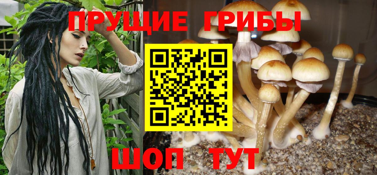 Геленджик  наркота  Вход с VPN  Галлюциногенные грибы GOLDEN TEACHER 